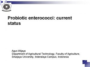 Probiotic enterococci current status Agus Wijaya Department of