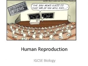 Human Reproduction IGCSE Biology What is reproduction Reproduction