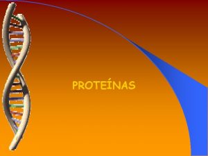 PROTENAS INTRODUCCION v Las molculas de protenas estn