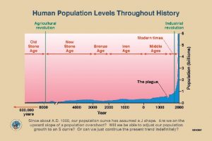 U S Population Projections Three population scenarios for