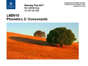 Morning Tree 6077 By Cat Dancing CC BYNCND