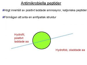 Antimikrobiella peptider Hgt innehll av positivt laddade aminosyror