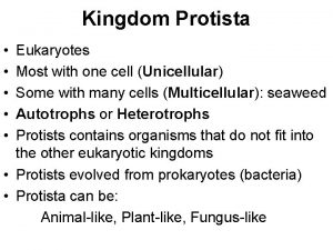 Kingdom Protista Eukaryotes Most with one cell Unicellular