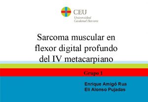 Sarcoma muscular en flexor digital profundo del IV