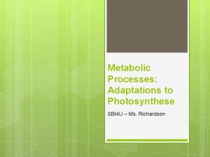 Metabolic Processes Adaptations to Photosynthese SBI 4 U