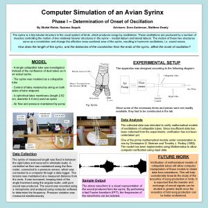 Computer Simulation of an Avian Syrinx Phase I