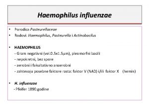 Haemophilus influenzae Porodica Pasteurellaceae Rodovi Haemophilus Pasteurella i