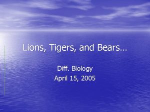 Lions Tigers and Bears Diff Biology April 15