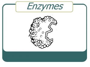 Enzymes What are Enzymes Enzymes are proteins Used