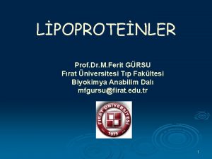 LPOPROTENLER Prof Dr M Ferit GRSU Frat niversitesi