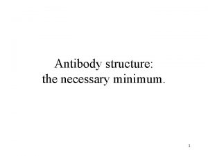 Antibody structure the necessary minimum 1 Antibody structure
