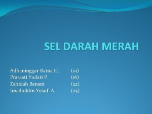 SEL DARAH MERAH Adhaninggar Ratna H Prasasti Yudati