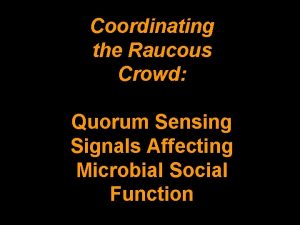 Coordinating the Raucous Crowd Quorum Sensing Signals Affecting