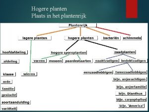 Hogere planten Plaats in het plantenrijk Kenmerken hogere