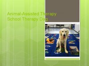 AnimalAssisted Therapy School Therapy Dog What is Pet