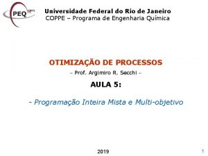 Universidade Federal do Rio de Janeiro COPPE Programa