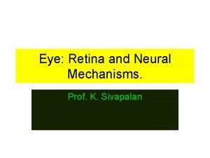 Eye Retina and Neural Mechanisms Prof K Sivapalan