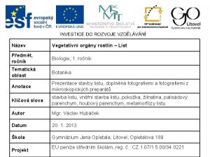 Nzev Vegetativn orgny rostlin List Pedmt ronk Biologie