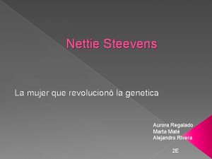 Nettie Steevens La mujer que revolucion la genetica