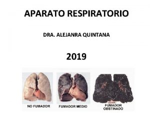 APARATO RESPIRATORIO DRA ALEJANRA QUINTANA 2019 El aparato