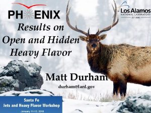 Results on Open and Hidden Heavy Flavor Matt