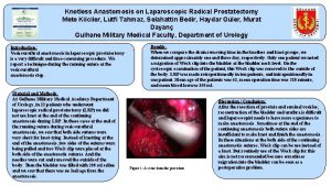 Knotless Anastomosis on Laparoscopic Radical Prostatectomy Mete Kilciler