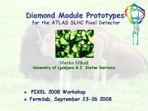 Diamond Module Prototypes for the ATLAS SLHC Pixel