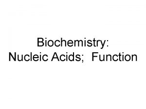 Biochemistry Nucleic Acids Function Overview 1 Review Nucleic