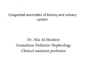 Congenital anomalies of kidney and urinary system Dr