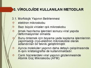 3 VROLOJDE KULLANILAN METODLAR 3 1 Morfolojik Yapnn