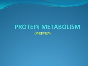 PROTEIN METABOLISM OVERVIEW OVERALL METABOLISM OF PROTEINS All