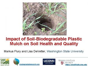 Impact of SoilBiodegradable Plastic Mulch on Soil Health