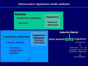 Interacciones organismosmedio ambiente Requisitos Condiciones ambientales Organismos Sobrevivir