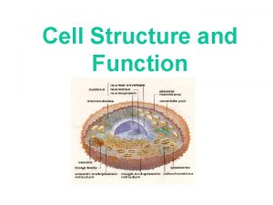 Cell Structure and Function Cell Smallest unit that