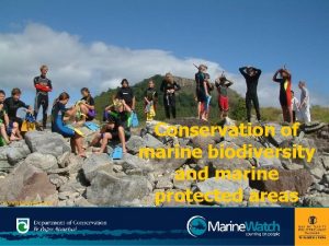 Pongakawa School Conservation of marine biodiversity and marine