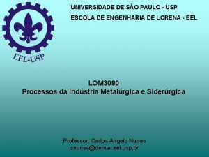 UNIVERSIDADE DE SO PAULO USP ESCOLA DE ENGENHARIA