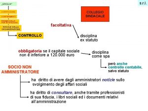 s r l GRIGLIA COLLEGIO SINDACALE COSTITUZIONE CONFERIMENTI