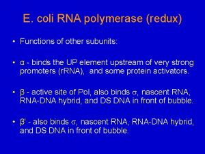 E coli RNA polymerase redux Functions of other