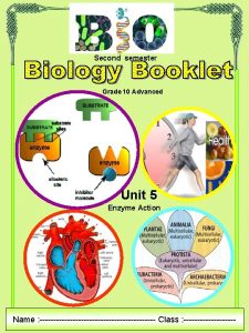 Second semester Grade 10 Advanced Unit 5 Enzyme