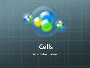 Cells Mrs Nelsons class What is a Cell