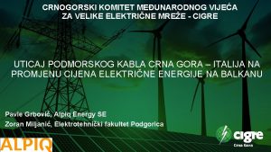 CRNOGORSKI KOMITET MEUNARODNOG VIJEA ZA VELIKE ELEKTRINE MREE