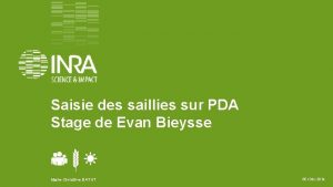 Saisie des saillies sur PDA Stage de Evan