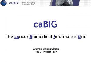 ca BIG the cancer Biomedical Informatics Grid Arumani