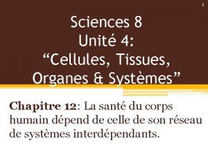 1 Sciences 8 Unit 4 Cellules Tissues Organes