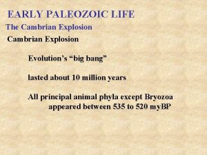 EARLY PALEOZOIC LIFE The Cambrian Explosion Evolutions big