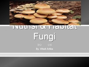 Nutrisi Habitat Fungi By Wiwit Artika Pendahuluan Fungi