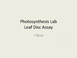 Photosynthesis Lab Leaf Disc Assay F Block Photosynthesis