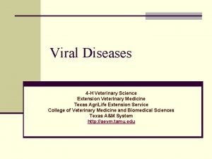 Viral Diseases 4 H Veterinary Science Extension Veterinary