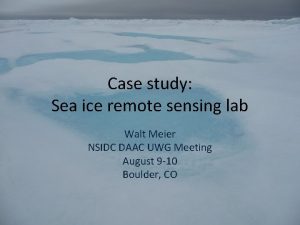 Case study Sea ice remote sensing lab Walt