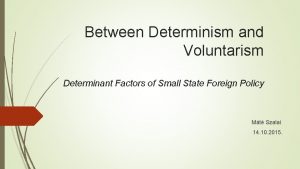 Between Determinism and Voluntarism Determinant Factors of Small